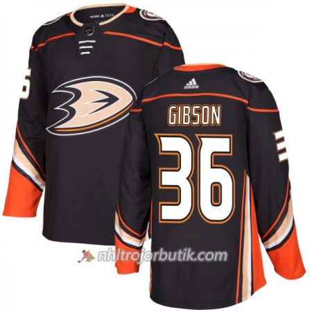 Män Ishockey Anaheim Ducks Tröja John Gibson 36 Adidas 2017-2018 Svart Authentic Män Ishockey Anaheim Ducks Tröja John Gibson 36 Adidas 2017-2018 Svart Authentic